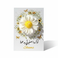 توزيعات عباد الشمس